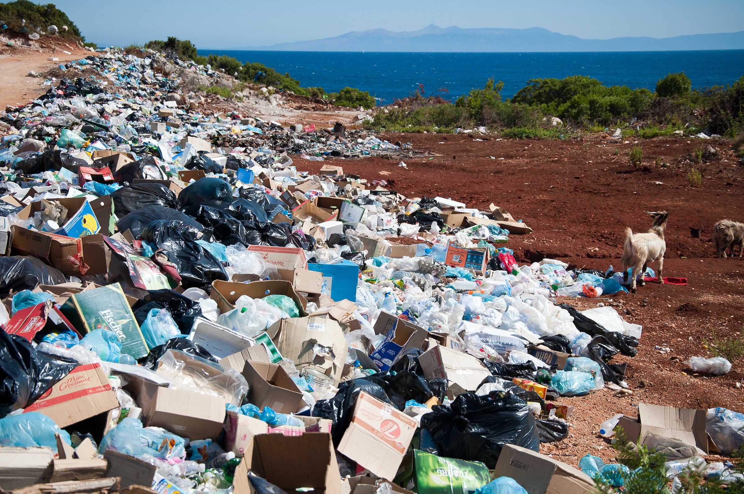 Rubbish can be seen stretching into the distance, by the coast